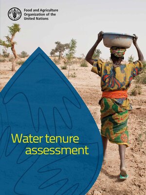 cover image of Water Tenure Assessment